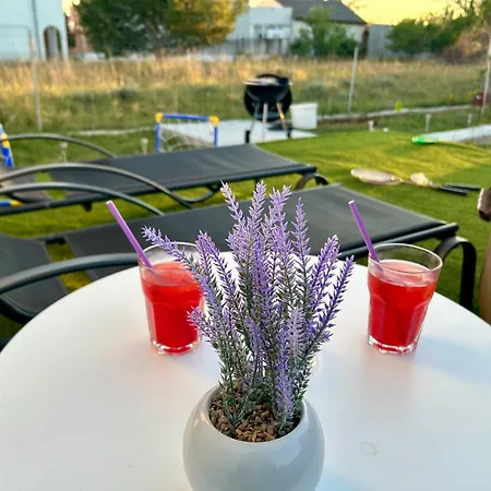 Vikendica Lavanda 1 Privlaka (Zadar)